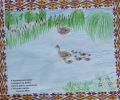 Ісакова Шая -- А качечка випливає з качуром за ними , ловить ряску, розмовляє з дітками своїми---Звенигородська 30 школа інтерна І-ІІІ ступенів